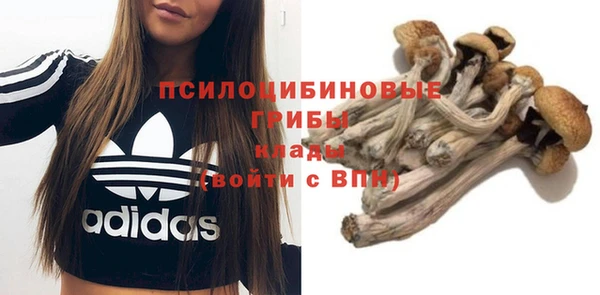 спиды Абаза