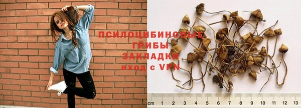 2c-b Абдулино