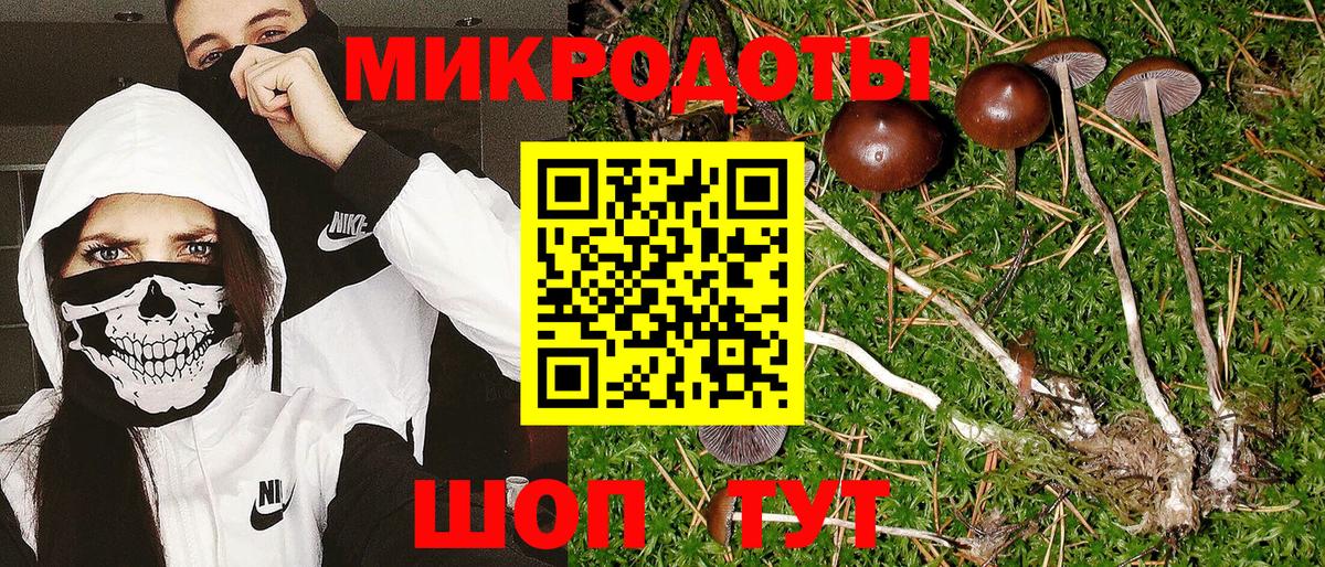 Галлюциногенные грибы Cubensis Батайск