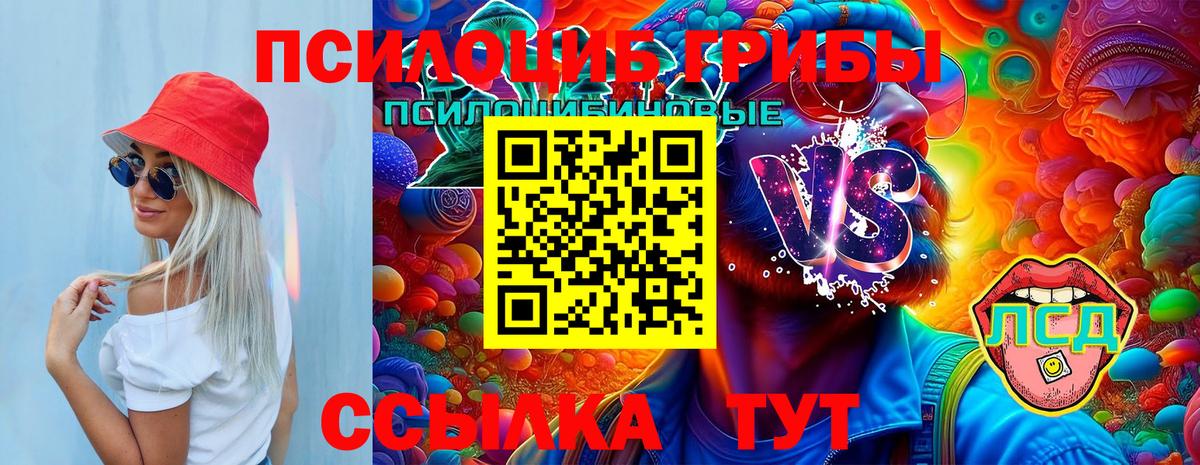 Галлюциногенные грибы Psilocybine cubensis  Вход с VPN  Галлюциногенные грибы Psilocybe  Батайск 